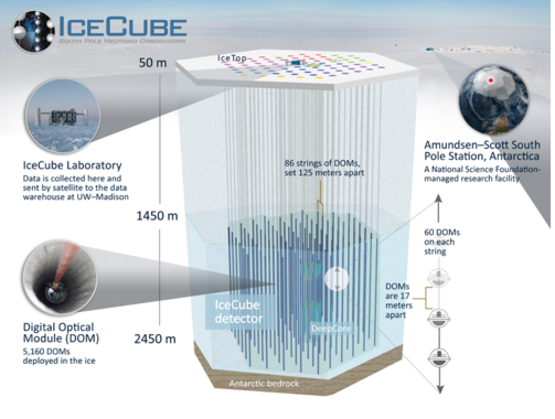 Figure 1: A cross section of the neutrino detectors, set up deep within the ice of Antarctica at IceCube Neutrino Laboratory.