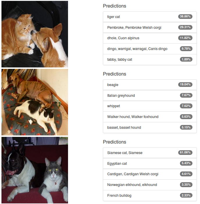 Figure 3: Alexnet classifications of images of cats and dogs from the PASCAL VOC dataset.