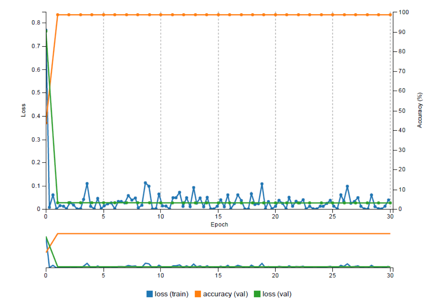 Figure 7: The performance of the CNN classifier across 30 training epochs. This figure is updated dynamically at each training iteration, which enables users to monitor the network training.