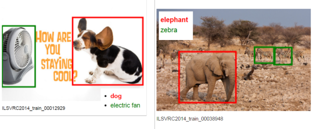 Figure 1. Examples of ImageNet images demonstrating classification with localization. 