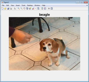 Figure 2: Pretrained ImageNet model classifying the image of the dog as 'beagle'.