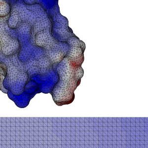 Figure 4: a close-up view of the mesh for a protein G B1 near a surface charged with 0.05 C/m^2. The colors represent the electrostatic potential on the molecular surface.