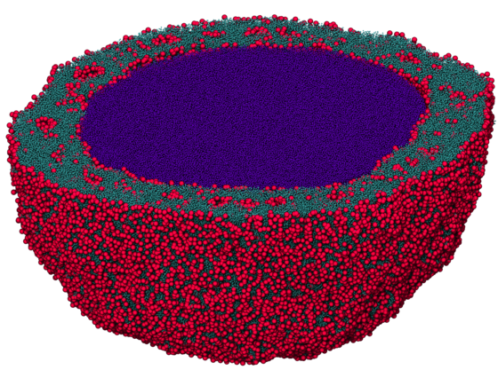 Figure 2: a simulation of a microsphere formed from star polymers. It is the largest research-producing simulation to date using HOOMD, at 11 million particles. Zhang, et. al. (2015) Simultaneous Nano- and Microscale Control of Nanofibrous Microspheres Self-Assembled from Star-Shaped Polymers 27, 3947–3952 (doi: 10.1002/adma.201570177).