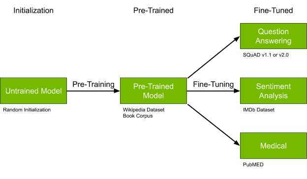 Diagram shows the initialization stage for an untrained model, a pretrained stage for a pretrained model, and a fine-tuned stage for question answering, sentiment analysis, and medical use cases.
