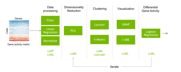 Pipeline showing the process of RNA-seq data analysis and RAPIDS libraries that were used to accelerate each step.