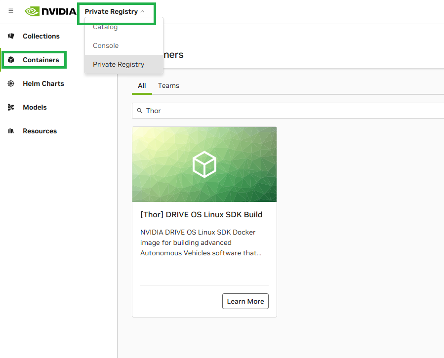 Screenshot from NGC showing selection of Private Registry and Containers