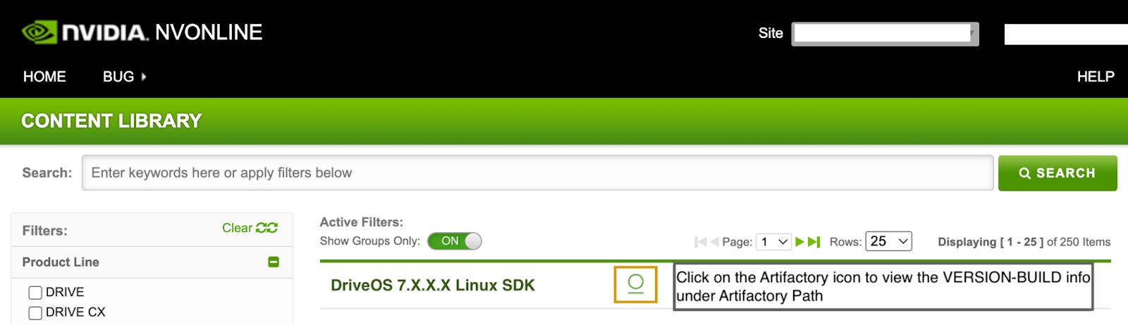 Screenshot from NVIDIA NVONLINE showing clicking the Artifactory logo icon next to the Group name to view the Docker image version and build tag