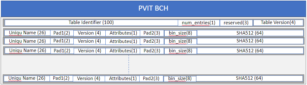 Format of PVIT