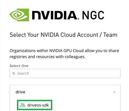 Screenshot from NGC during sign-in showing selection of the drive organization and driveos-sdk team
