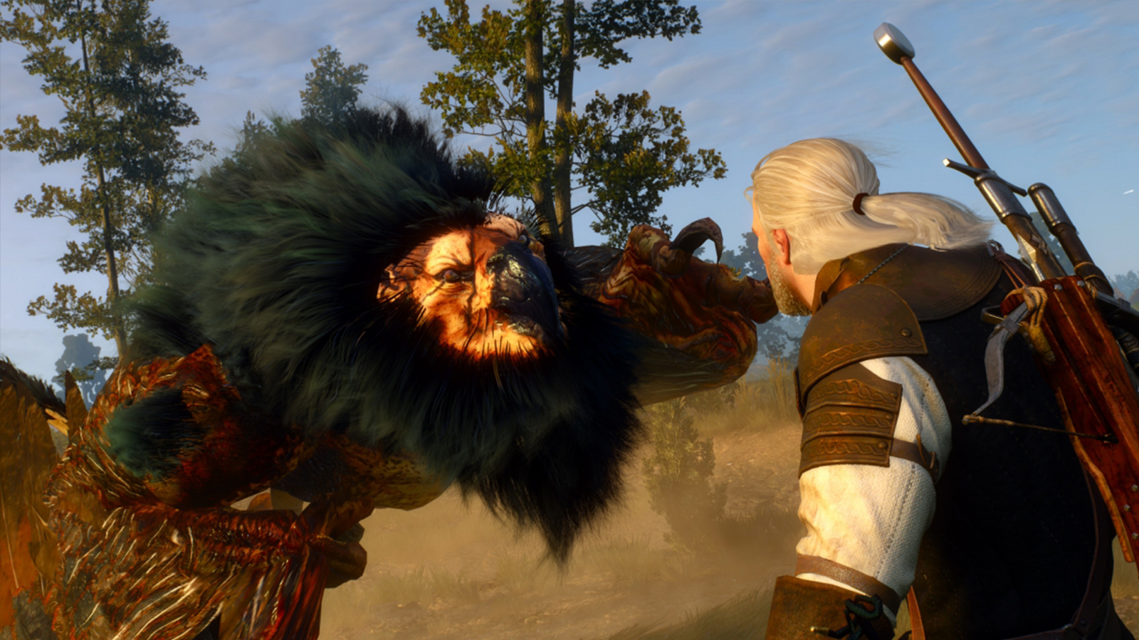 NVIDIA HairWorks effects in The Witcher 3: Wild Hunt