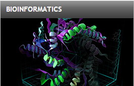 Bioinformatics domain